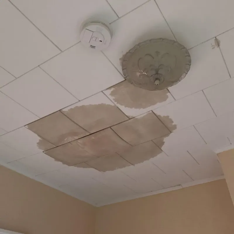 Ceiling Water Damage Repair in Westfield, PA
