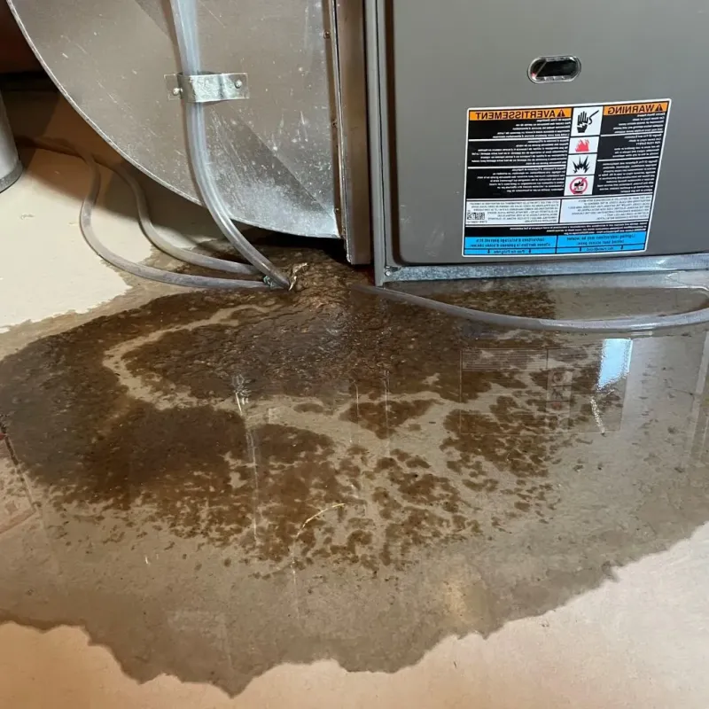 Pipe Burst and Leak Restoration in Westfield, PA