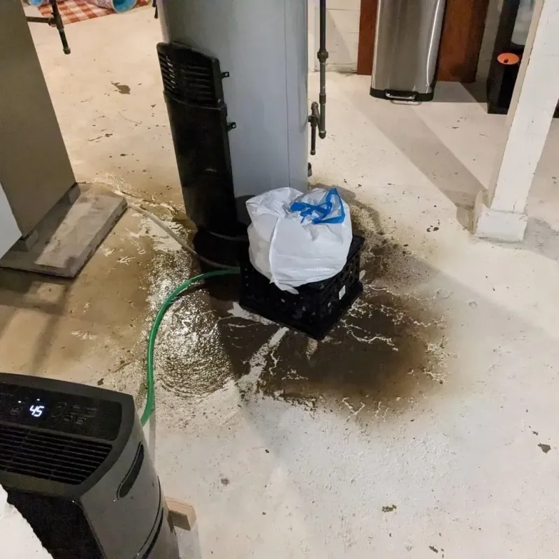 Sewage Backup Cleanup Service in Westfield, PA